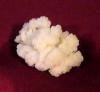 Kefir2.jpg